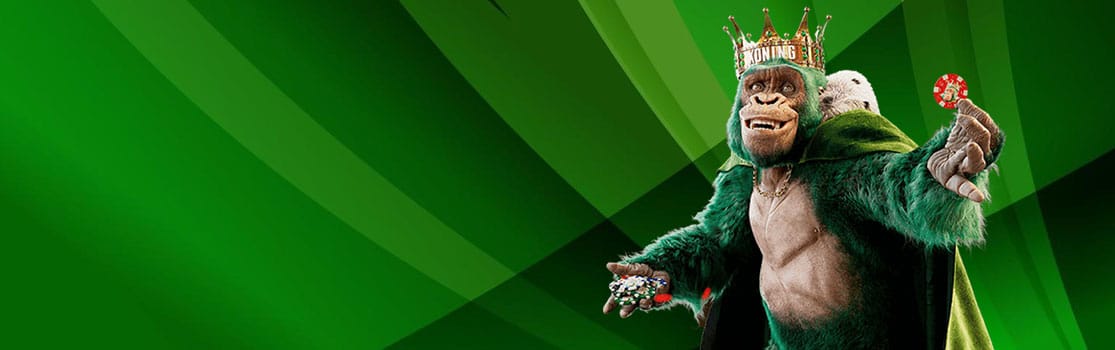 Toto Casino background